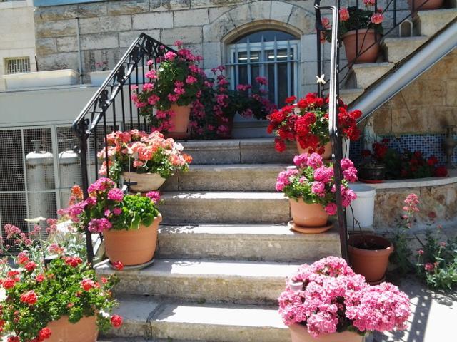 Rosary Sister Guest House Ein Karem Jerusalem Exteriör bild